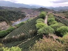 20260306_062.JPG (823112 bytes)