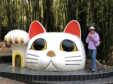 20260307_050.JPG (495595 bytes)