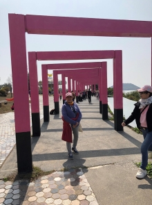 20260307_053.JPG (435644 bytes)