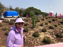 20260307_073.JPG (656304 bytes)