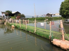 20260307_084.JPG (510722 bytes)