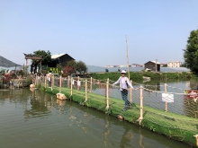 20260307_085.JPG (426521 bytes)