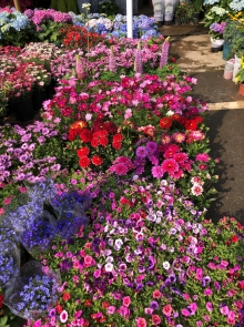 20260308_001.JPG (876076 bytes)