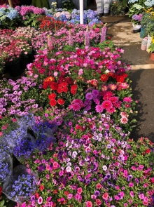 20260308_002.JPG (906604 bytes)