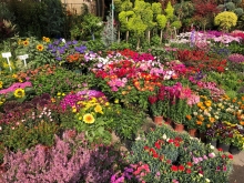 20260308_003.JPG (1007248 bytes)