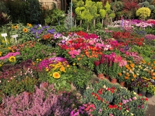 20260308_004.JPG (1041821 bytes)