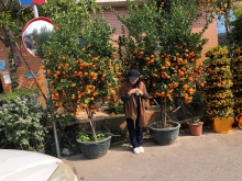 20260308_012.JPG (677634 bytes)