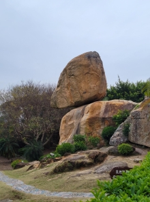 Thumbnail of pic_Teresa_Tse_004.jpg