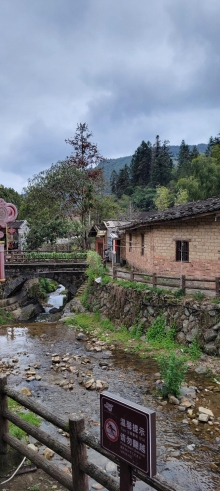 Thumbnail of pic_Teresa_Tse_045.jpg