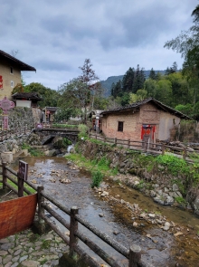 Thumbnail of pic_Teresa_Tse_068.jpg