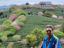 Thumbnail of pic_Teresa_Tse_108.jpg