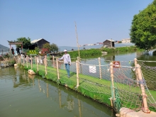 Thumbnail of pic_Teresa_Tse_154.jpg