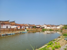 Thumbnail of pic_Teresa_Tse_158.jpg