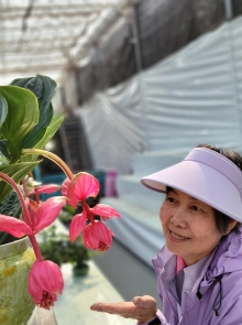 Thumbnail of pic_Teresa_Tse_184.jpg