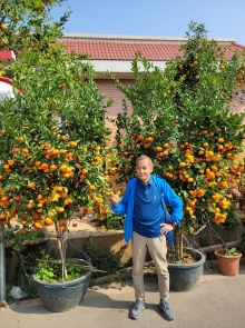 Thumbnail of pic_Teresa_Tse_195.jpg