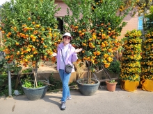 Thumbnail of pic_Teresa_Tse_197.jpg