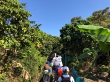 P3150003.JPG (616830 bytes)