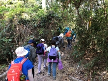 P3150004.JPG (738423 bytes)