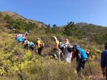 P3150016.JPG (613781 bytes)