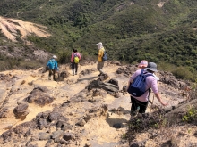 P3150029.JPG (625173 bytes)