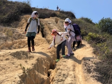 P3150030.JPG (536844 bytes)