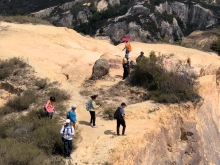 P3150042.JPG (431468 bytes)