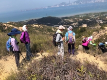 P3150044.JPG (598963 bytes)