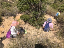 P3150053.JPG (733300 bytes)