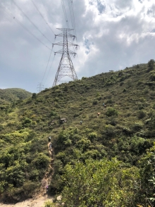 P3150065.JPG (505895 bytes)