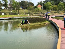 P3220040.JPG (513469 bytes)