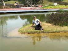 P3220045.JPG (496999 bytes)