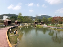 P3220051.JPG (335040 bytes)