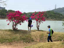 P3220062.JPG (527272 bytes)