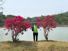 P3220063.JPG (439459 bytes)