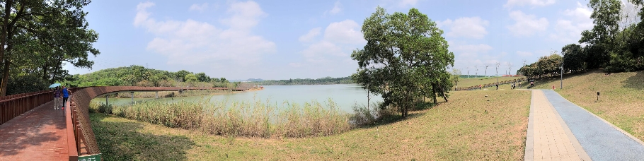 P3220073-2.jpg (736711 bytes)