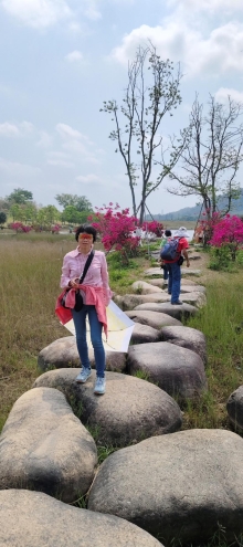 Thumbnail of pic_Derek_Wong_042.jpg