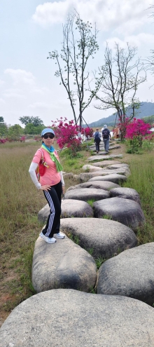 Thumbnail of pic_Derek_Wong_048.jpg