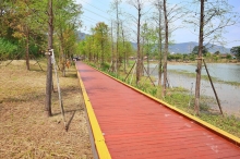 Thumbnail of pic_Lee_Shing_025.JPG