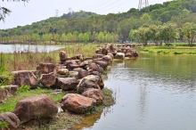 Thumbnail of pic_Lee_Shing_039.JPG