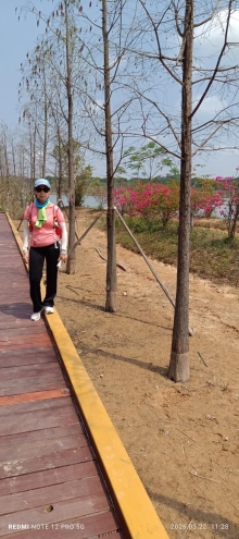 Thumbnail of pic_Mingle_Tam_016.jpg