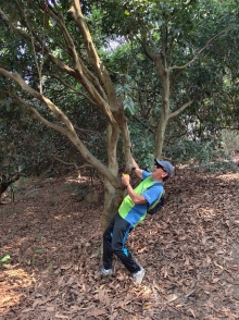 Thumbnail of pic_WaiG_004.jpg