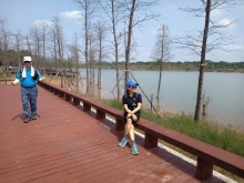 Thumbnail of pic_WaiG_014.jpg