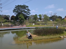 Thumbnail of pic_WaiG_026.jpg