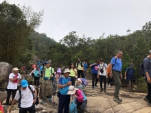 P3290093.JPG (398088 bytes)