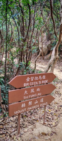 Thumbnail of pic_Cindy_Tse_031.jpg