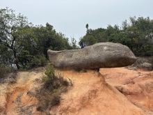 Thumbnail of pic_TB_Tung_016.JPG