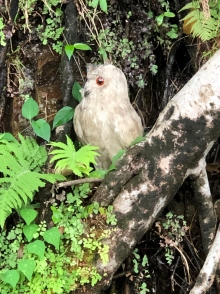 P4050022.JPG (381652 bytes)