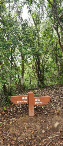 Thumbnail of pic_Si9_007.jpg