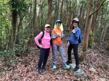 Thumbnail of P4120008.JPG