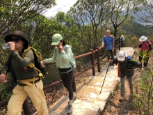 Thumbnail of P4120013.JPG